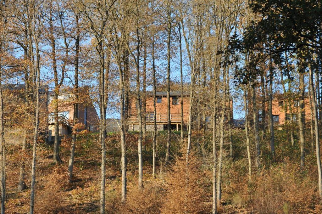 Domaine Du Bonsoy Blaimont Exterior photo